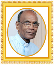 Rev. Fr. Stephens